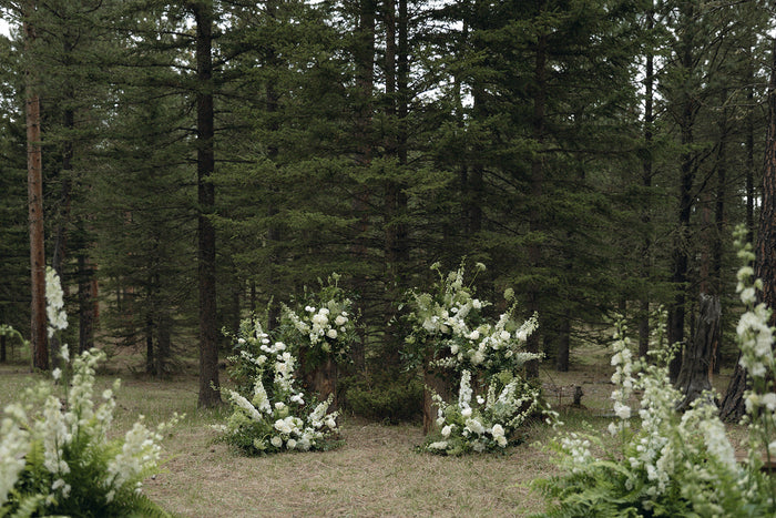 Cassie + Zack: Wedding in the Black Hills of South Dakota